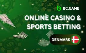 The Rise of Bc.G A New Era in Online Gaming